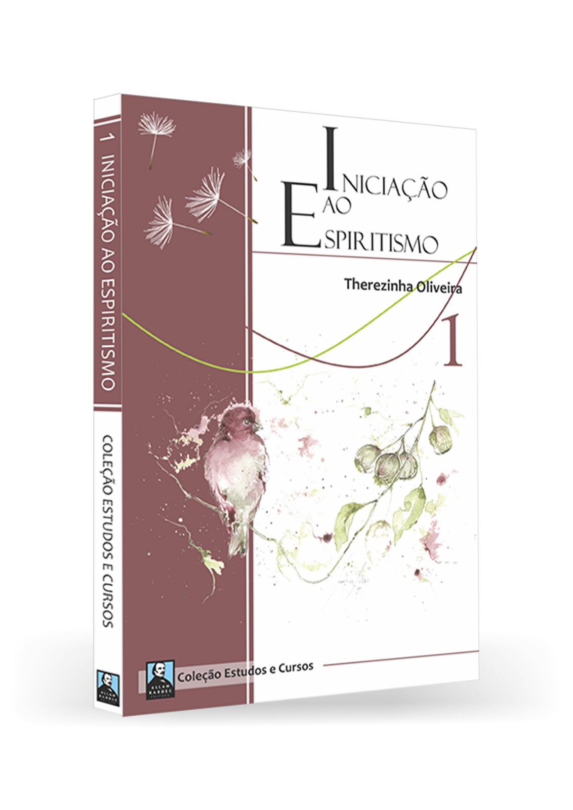 Iniciação ao Espiritismo